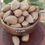 بادام پوست سنگی