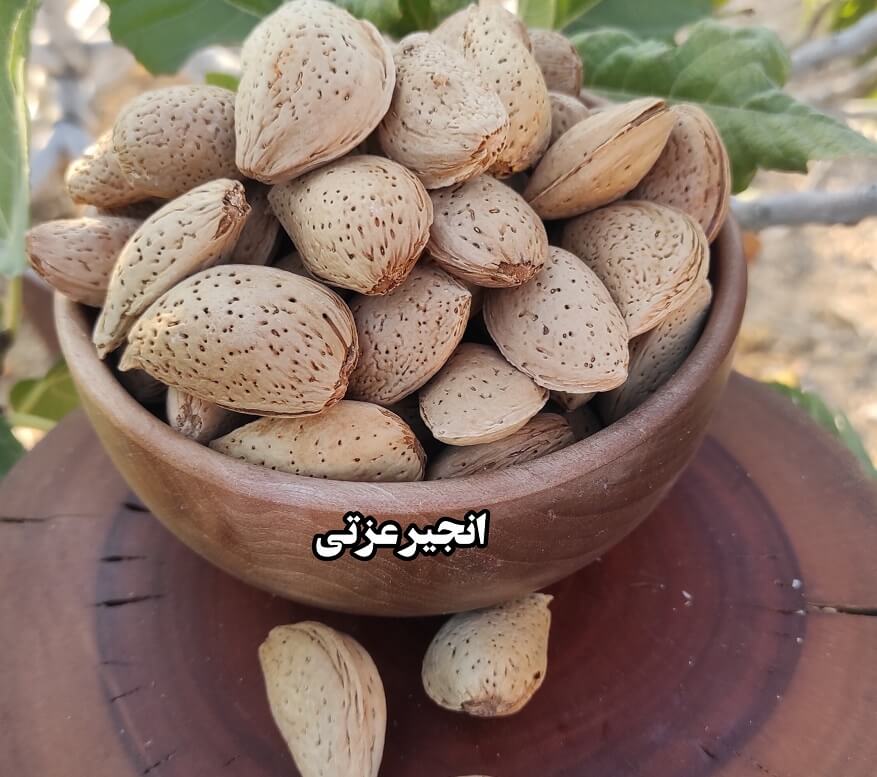 بادام پوست سنگی