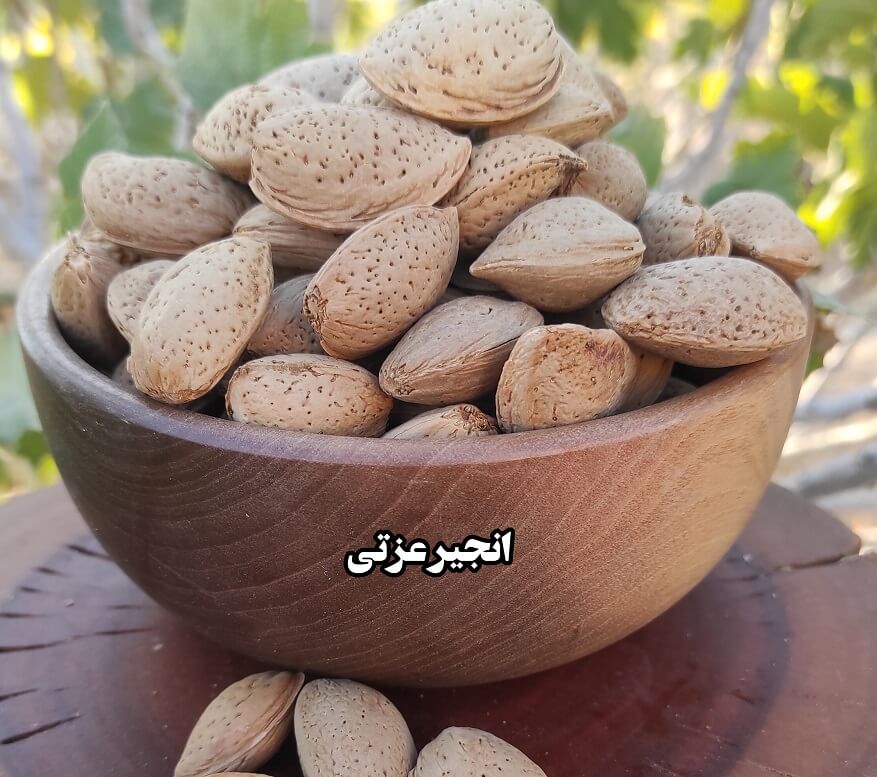 بادام پوست سنگی