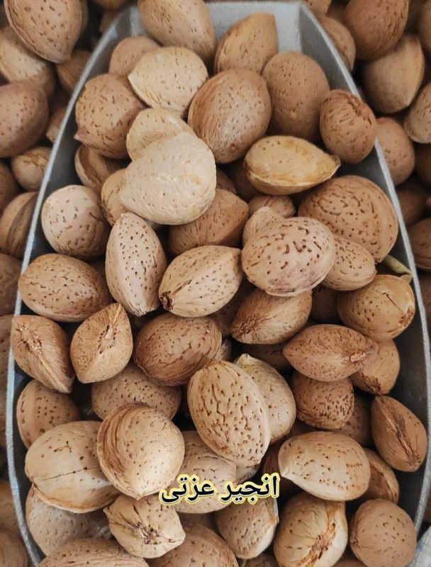 بادام پوست سنگی